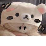 真实