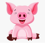 #Piggy Nation
