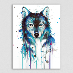 Blurry Stars and The Pack