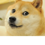 Doge(台灣)