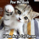 The Kitty Friends