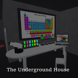 The Underground House