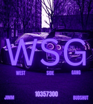 WSG:)