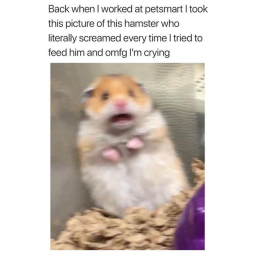 Grape Baptism