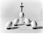 *THE EGG EMPIRE *