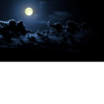 The Shadow Nights Darkness