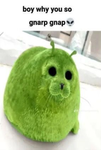 ToxicDev