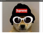 We like dogs with hats