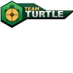 teams of turtles