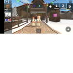Roblox Fans crazy