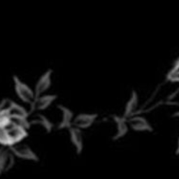 ♱❀༉