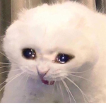 ._. :D