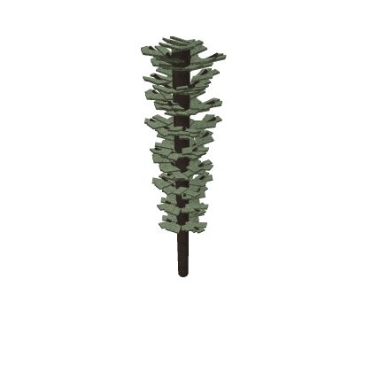 Forest tree