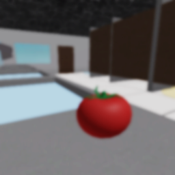 Find the tomato!
