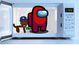 The Microwave