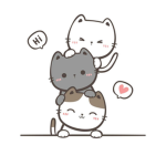 kitty development studio
