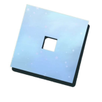 Roblox_Player WA group