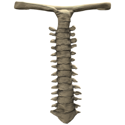Skeleton Tie 