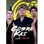 Cobra Kai Karate Training