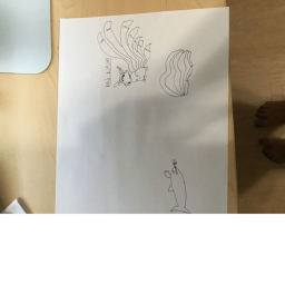 THE NINETAILS GROUP AND BABY SHARK's Place Number: