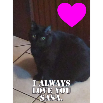 RIP SASA