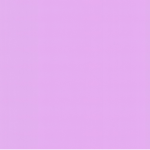 Preppy Experiences