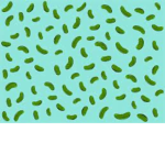 Pickles :>