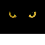 Nocturnal animals of roblox