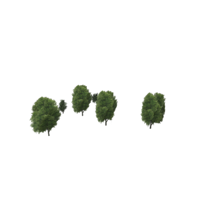 Greenville Trees