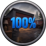 100% Condition Item