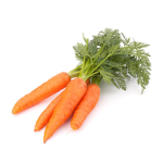 carroty