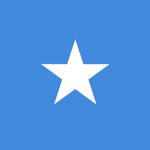 Napoleonic Army of Somalia