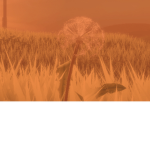Roblox Intelligence Agency Of Correctional Center.