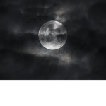Night_Production