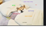 DOGE TRIBE…? W O W