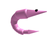 The Shrimp Group!