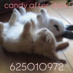 candy after dark