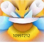 The Epic memerss