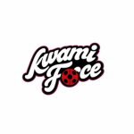 Kwami Force Studios