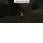 Warrior cats: private server rp