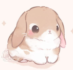 BunBun111 Fans!
