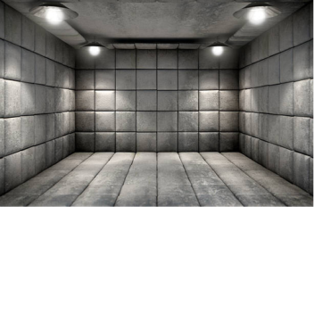 Mental Room 