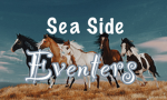 /-Sea Side Eventers-\