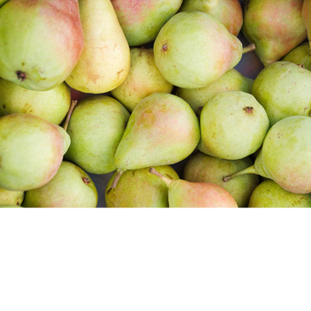 Pears