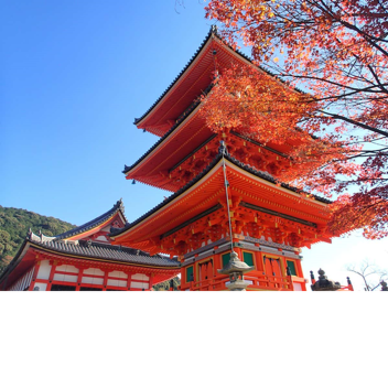 Japan Showcase- (FIXED)