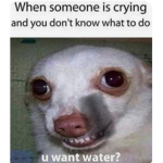 !memegangXOXO!