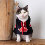 The pet home