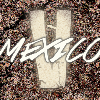 SALVADOR SHOWDOWN [V] [END OF AN ERA]