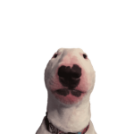 Waltvile