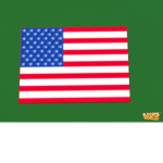 The United States armed forces (USAF).
